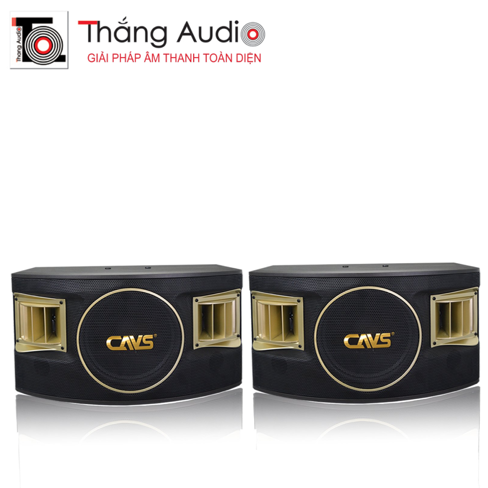 LOA KARAOKE CAVS 530SE