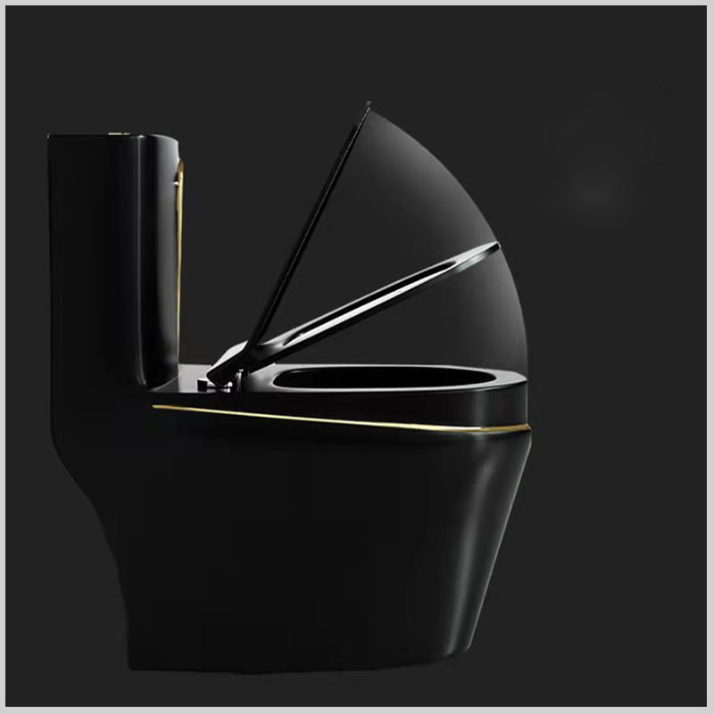 Nắp rơi êm chống ồn của bồn cầu SKL R6090Black