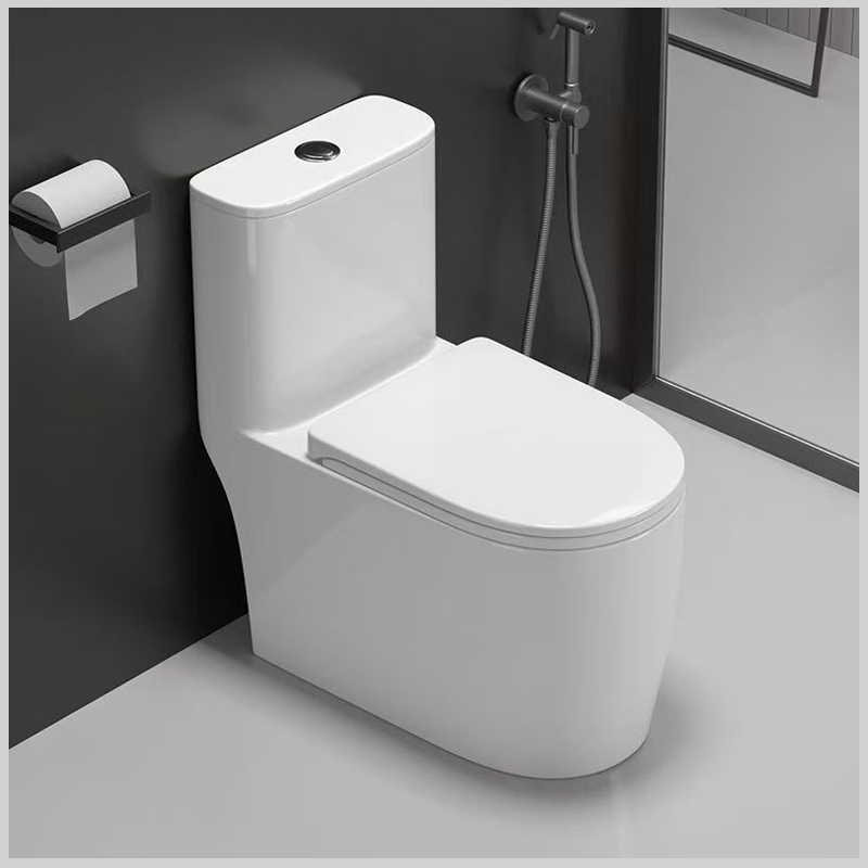 Bồn cầu một khối R88 chính hãng