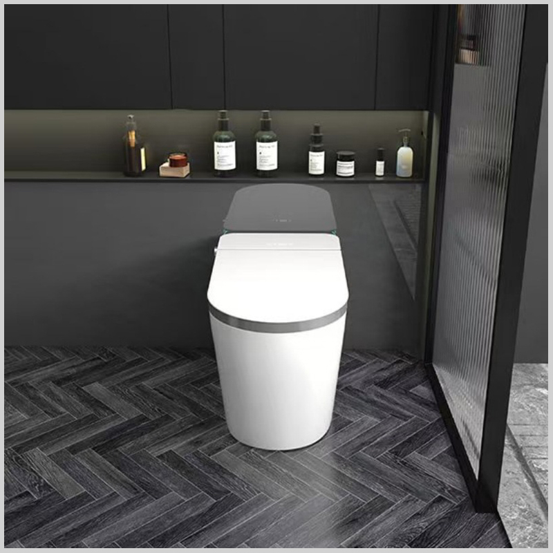 Thiết kế sang trọng của bồn cầu thông minh R-201G