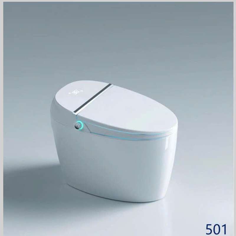 Bồn cầu R-501 tích hợp đèn LED hiển thị nhiệt độ tiện lợi