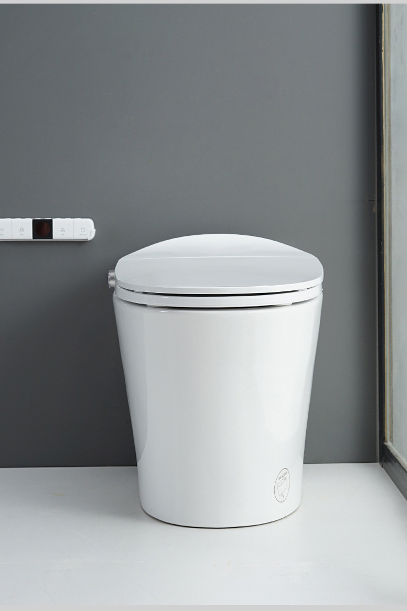 Kích thước bồn cầu R-501: 760x480x610mm phù hợp mọi không gian phòng tắm