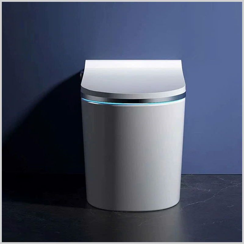 Thiết kế sang trọng của bồn cầu thông minh R43 phù hợp mọi không gian