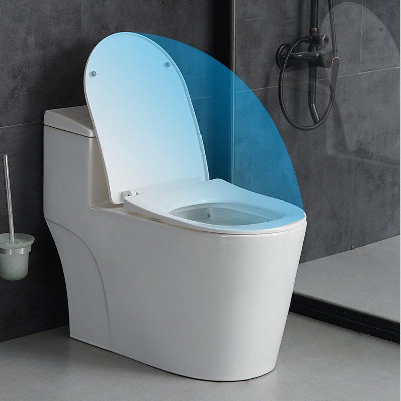 Nắp bồn cầu R99UF chất liệu nhựa cao cấp, đóng êm chống va đập