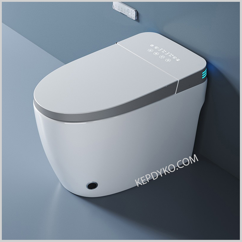 Bồn cầu thông minh R-201G cảm ứng tự động hiện đại