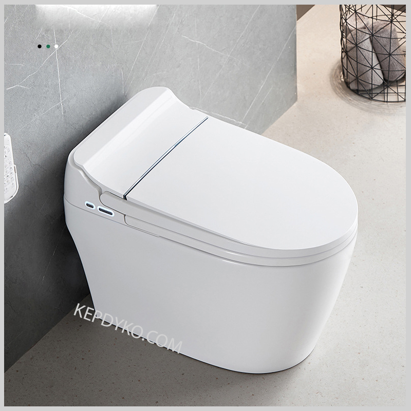 Bồn cầu thông minh R-203