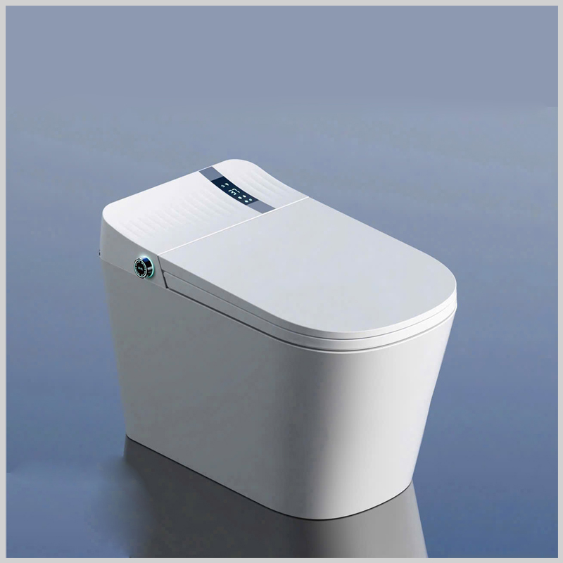 Bồn cầu thông minh R-46 cảm ứng tự động cao cấp