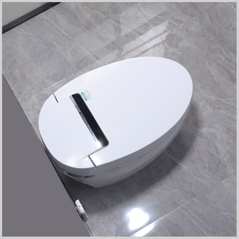 Bồn cầu thông minh R-205 thiết kế có két nước, tiết kiệm