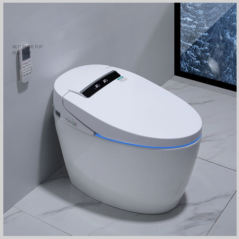 Bồn Cầu Thông Minh R-205 chính hãng