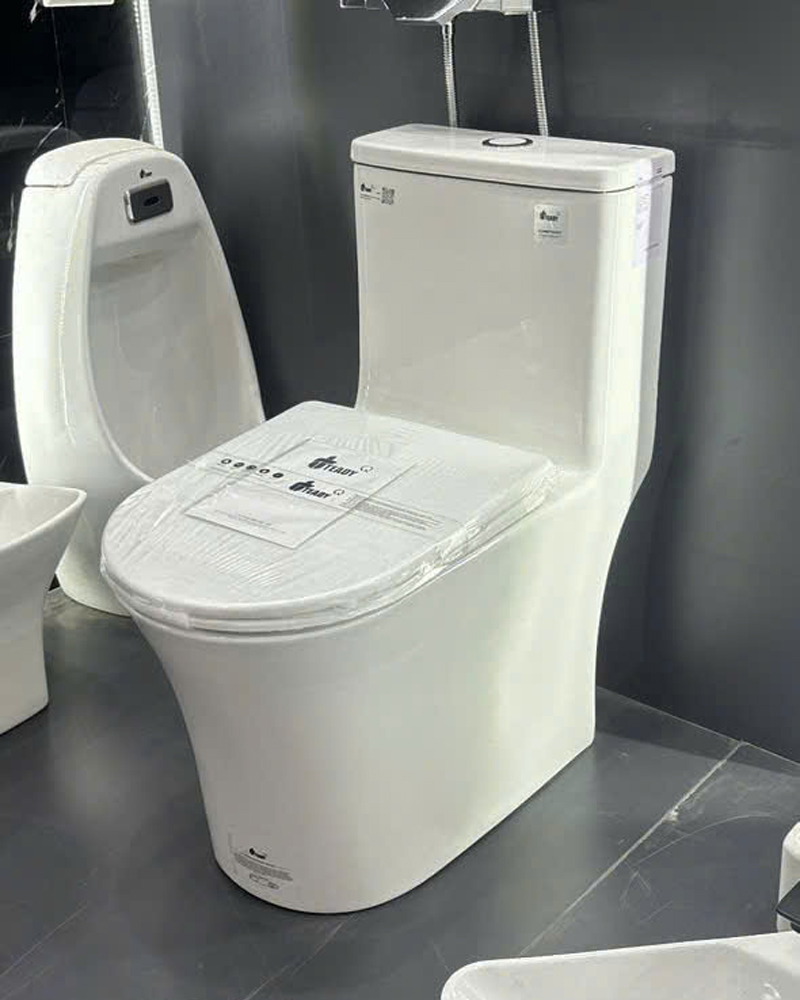 Nắp đóng êm không gây tiếng ồn của bồn cầu Teady LK135