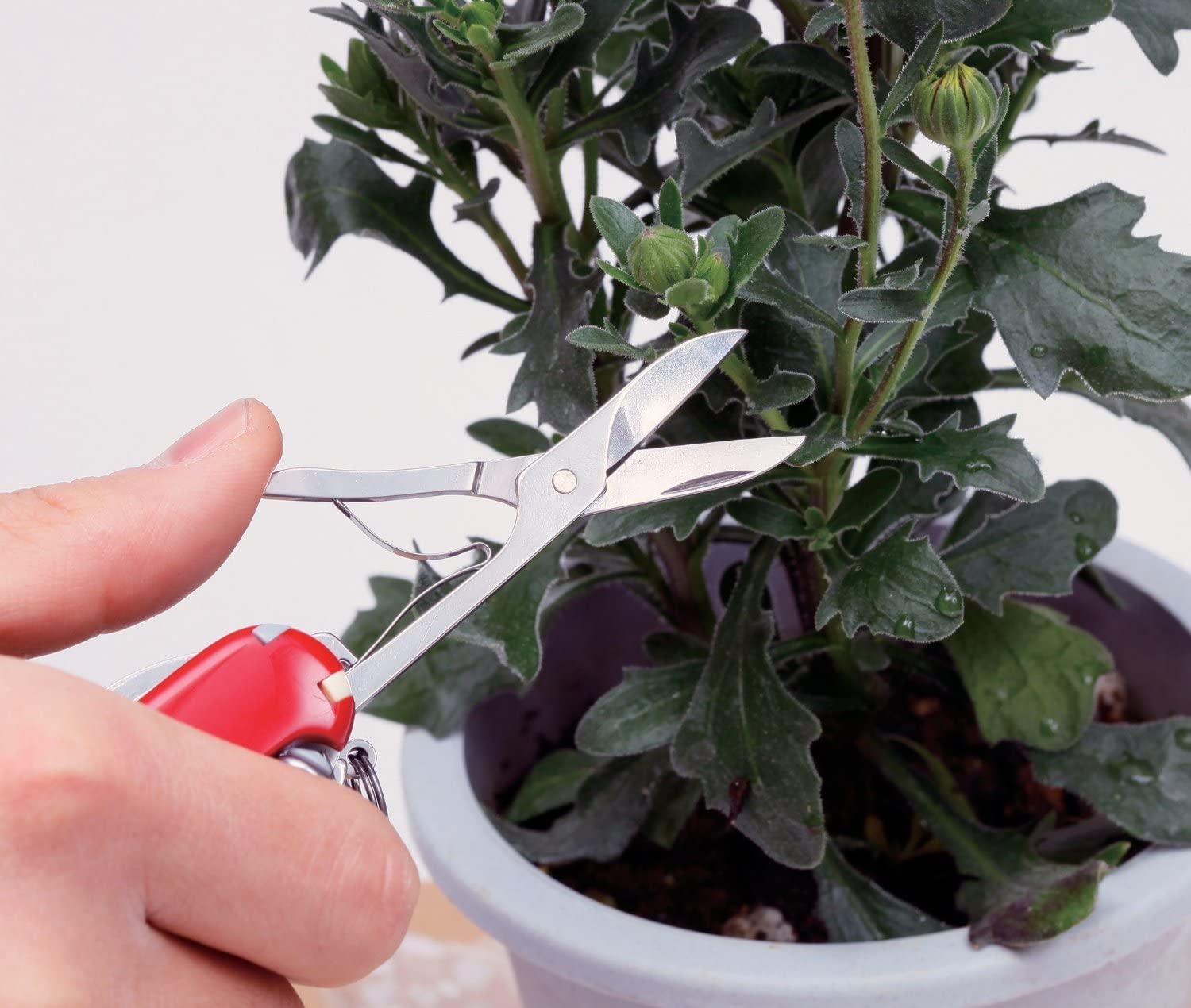 Dụng Cụ Đa Năng Victorinox Climber