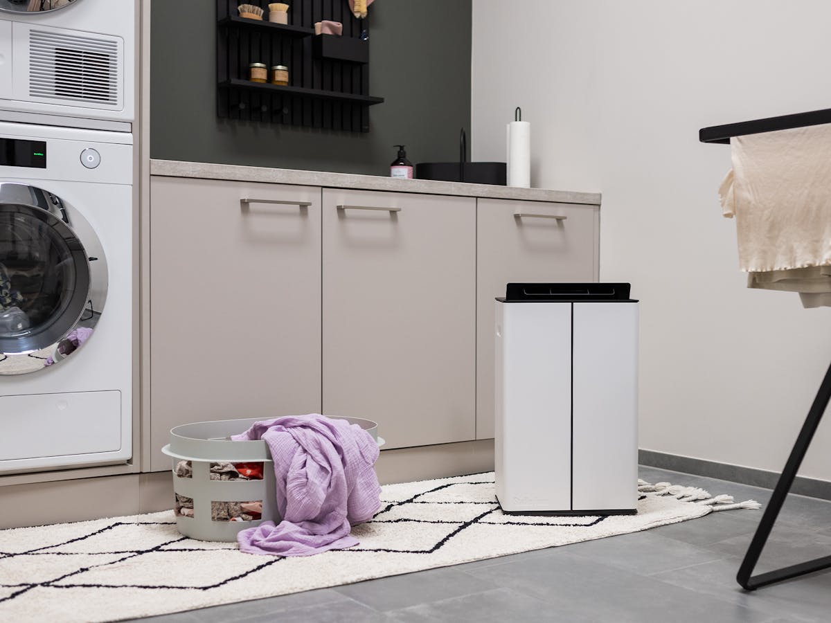 Máy hút ẩm và lọc không khí Stadler Form Lukas 20L (L-031E)