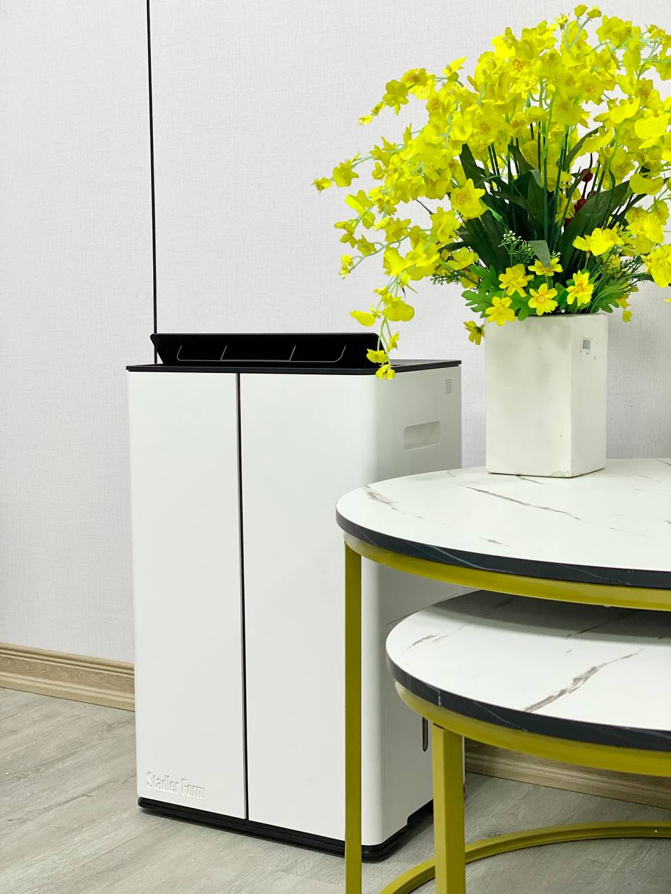 Máy hút ẩm và lọc không khí Stadler Form Lukas 20L (L-031E)