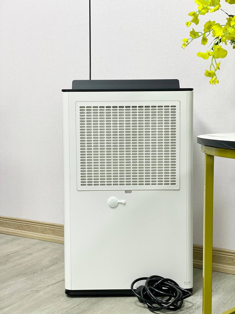 Máy hút ẩm và lọc không khí Stadler Form Lukas 20L (L-031E)