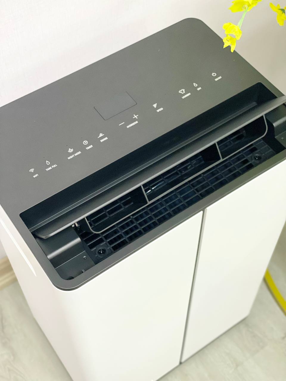 Máy hút ẩm và lọc không khí Stadler Form Lukas 20L (L-031E)