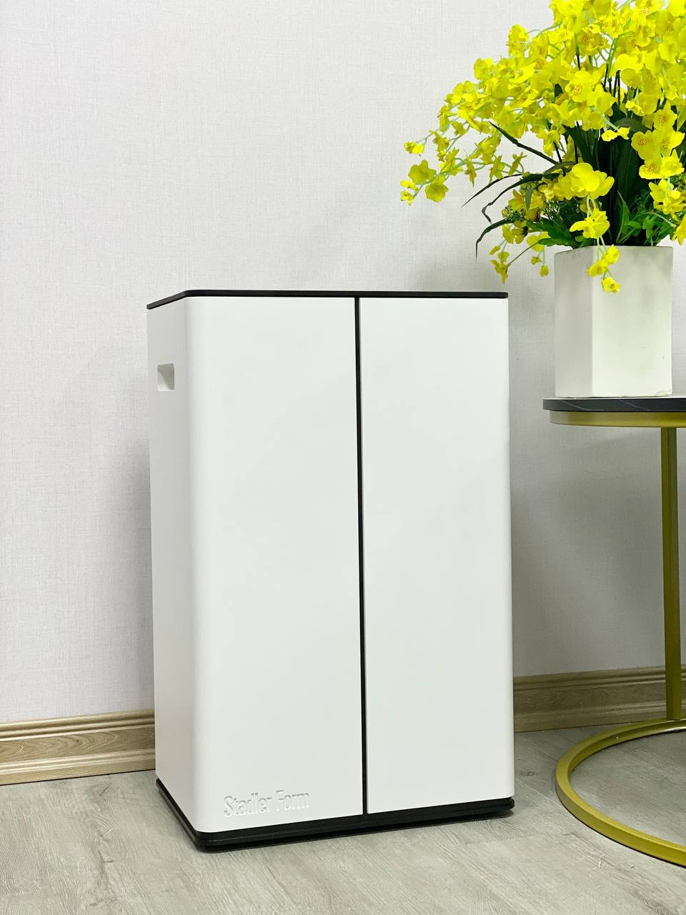 Máy hút ẩm và lọc không khí Stadler Form Lukas 20L (L-031E)