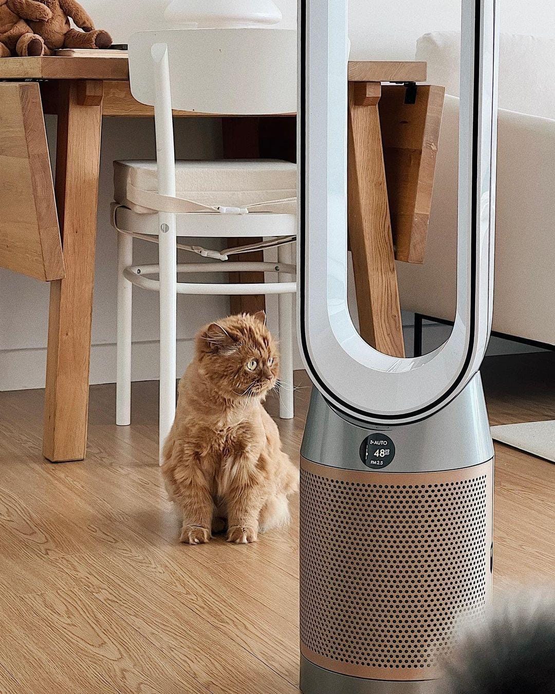 Quạt không cám kiêm lọc không khí Dyson Puifier Cool Formaldehyde TP09