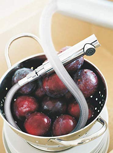 VÒI RỬA BÁT RÚT DÂY GROHE MINTA 32168000