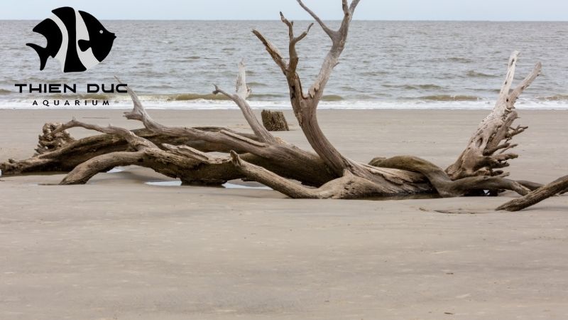 aquarium-safe driftwood