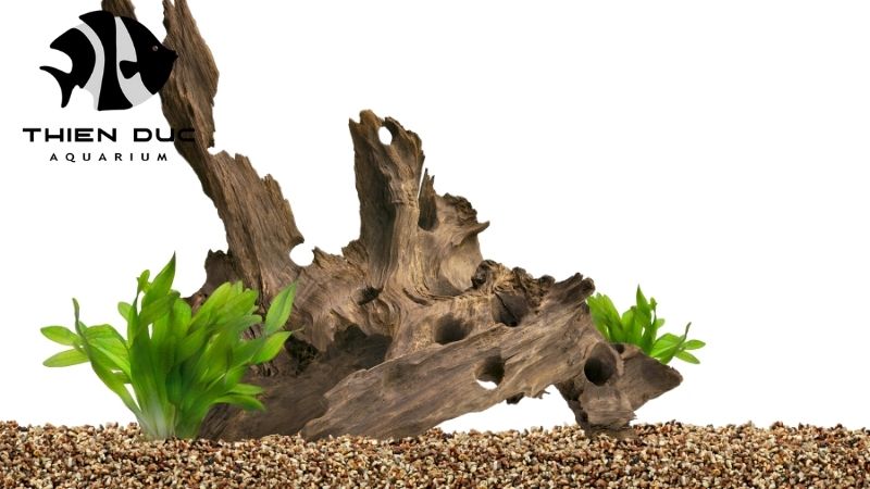Aquarium wood for sale