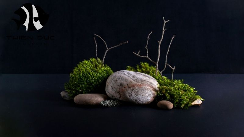 Aquascaping stone exporter