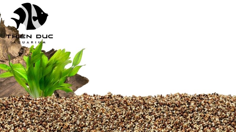 driftwood for aquascape