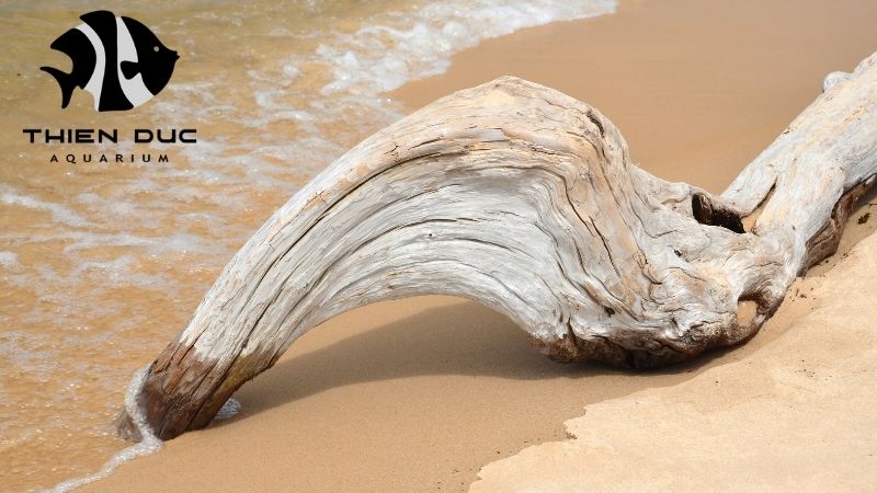 driftwood types for fish tanks
