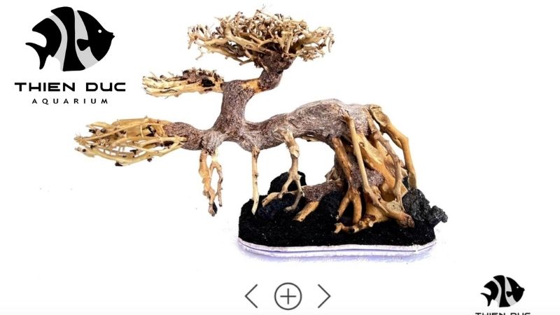 Manzanita driftwood for aquarium