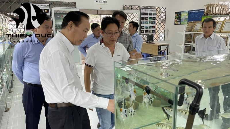 membership in OFI Vietnam