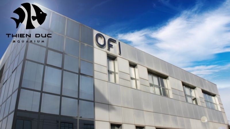 OFI organization member