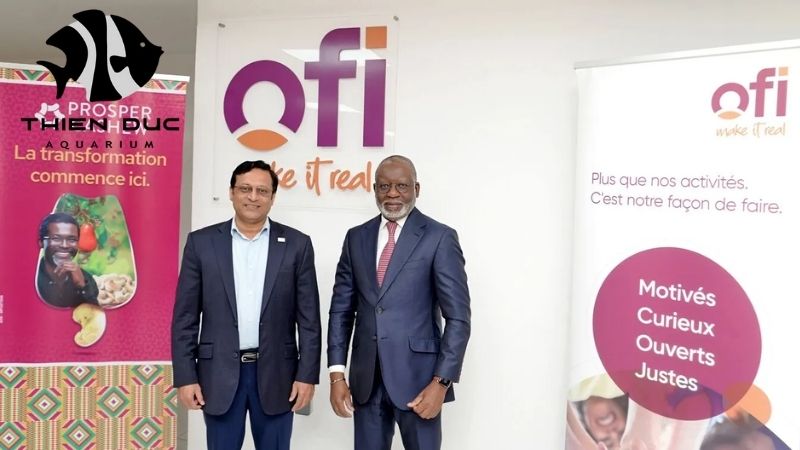 OFI organization member