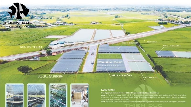 Sustainable fish farm Vietnam