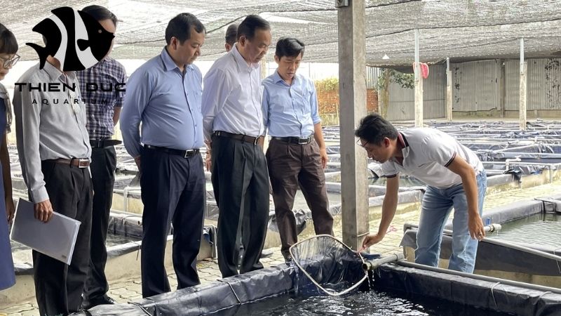 Thien Duc Farm Vietnam