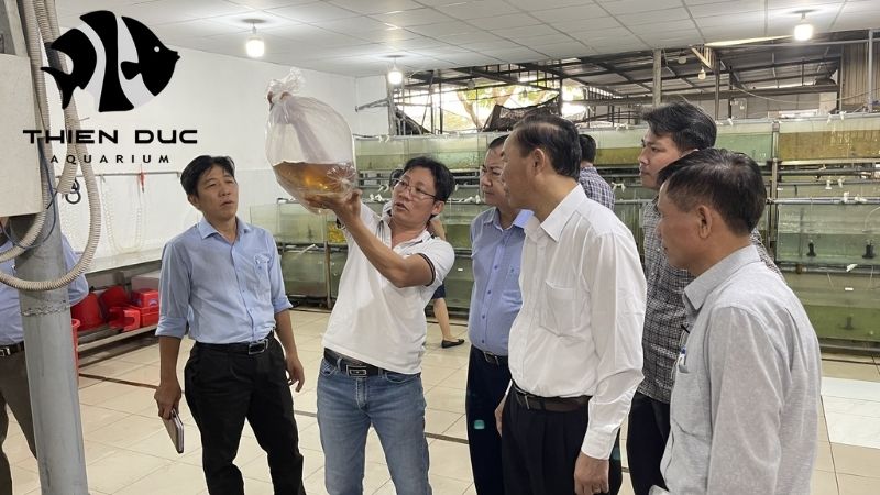 Thien Duc OFI membership