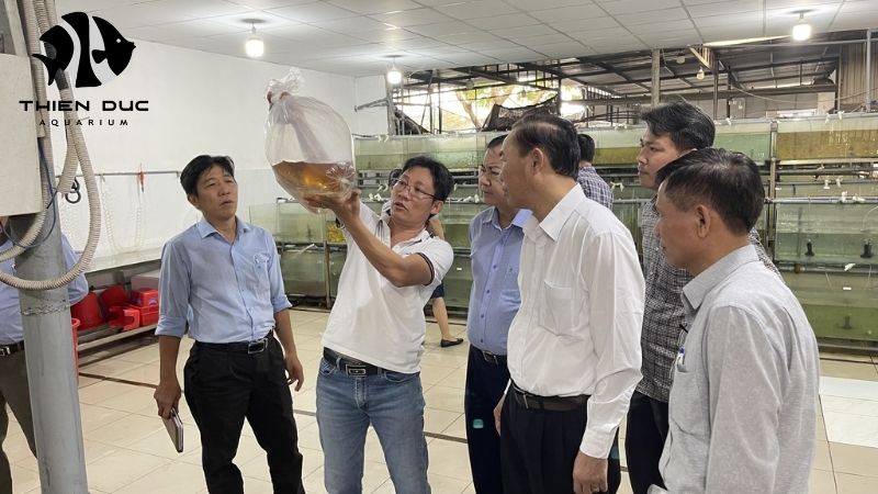 Thienduc Aquarium reputation