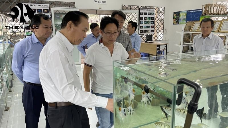 Top rated fish exporter