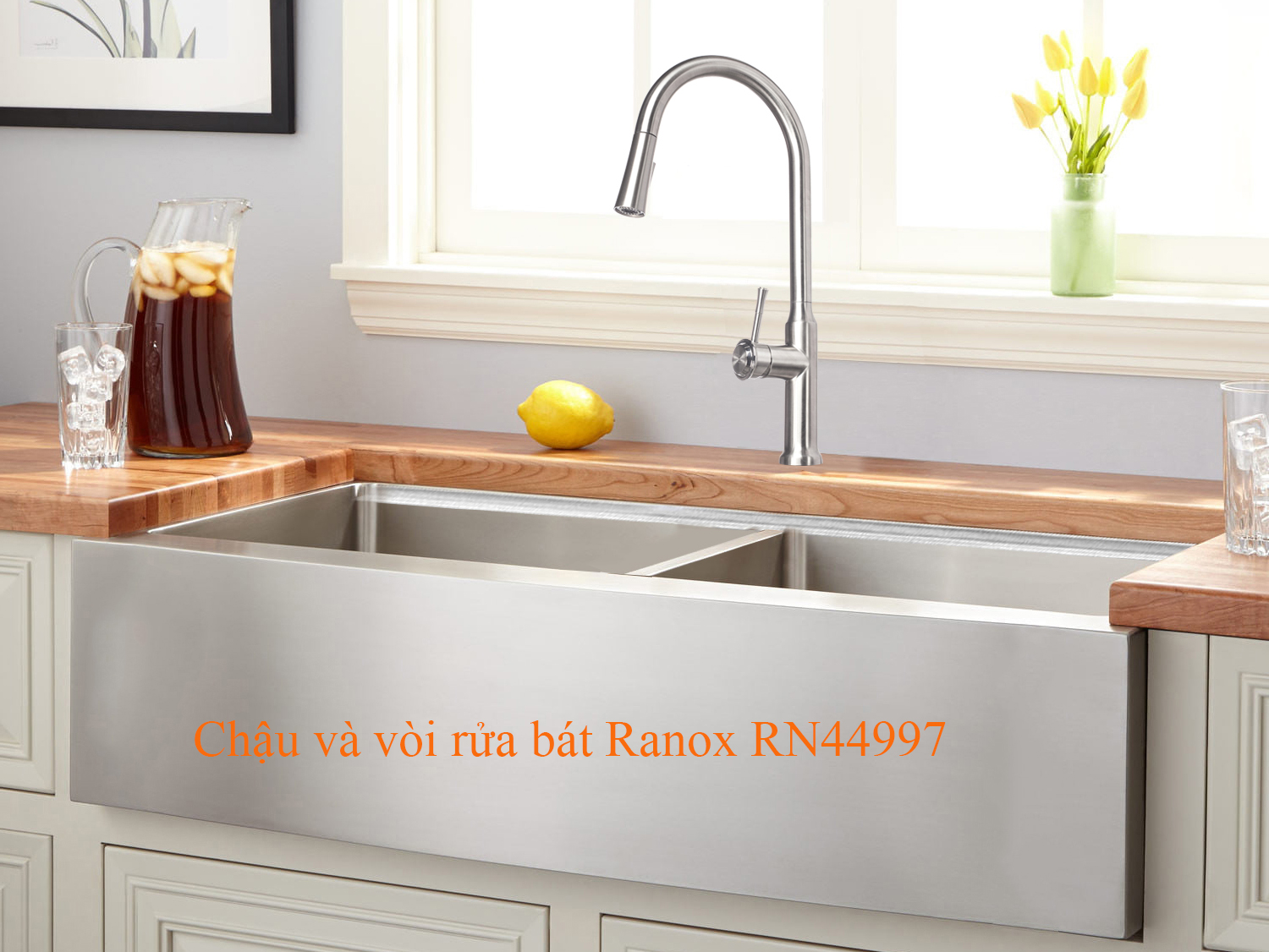 Chậu và vòi rửa bát Ranox RN44997