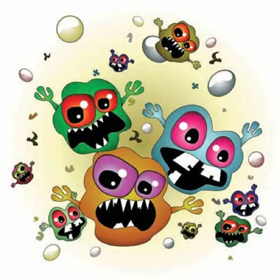 Không nên để chén bát qua đêm 02