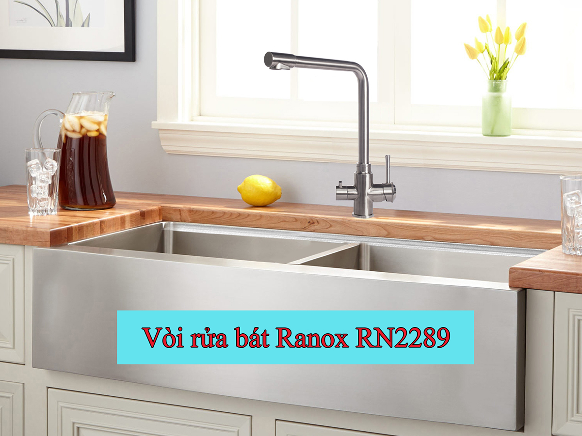 Vòi rửa chén cao cấp Ranox RN2289