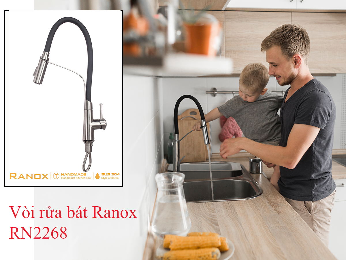 Vòi rửa chén cao cấp Ranox RN2268