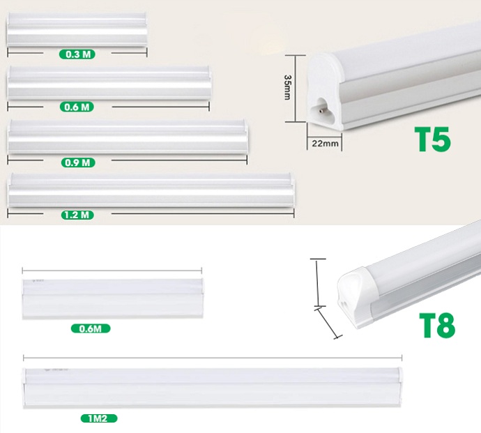 Bóng tuýp led T5 và T8 khác nhau như thế nào?