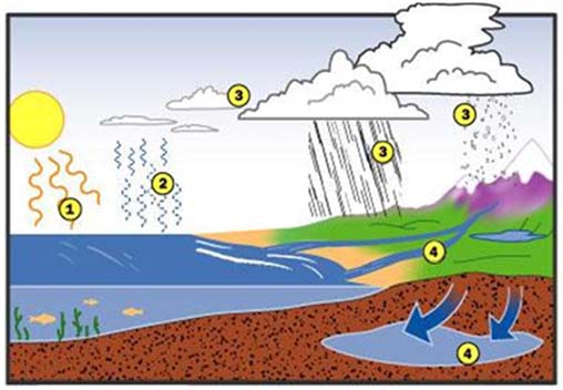 vòng tuần hoàn của nước