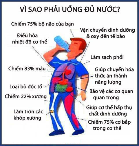 Nước sạch là thành phần thiết yếu cho cơ thể