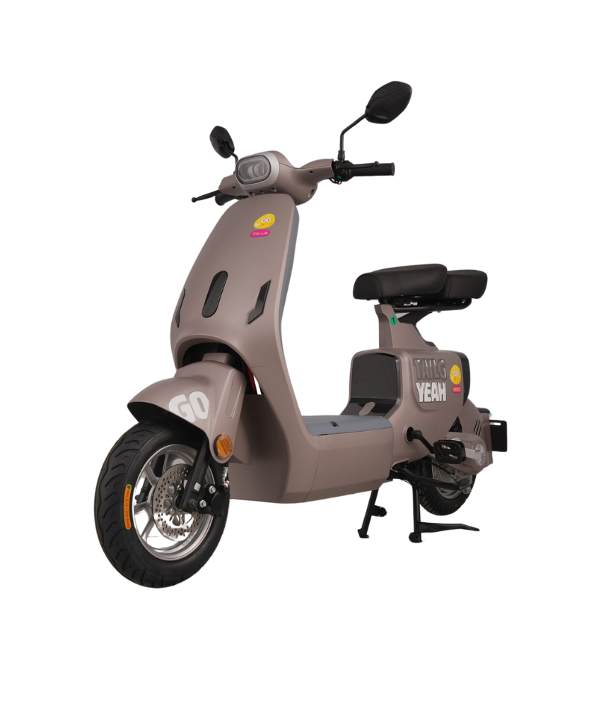 XE ĐẠP ĐIỆN  TAILG GR55