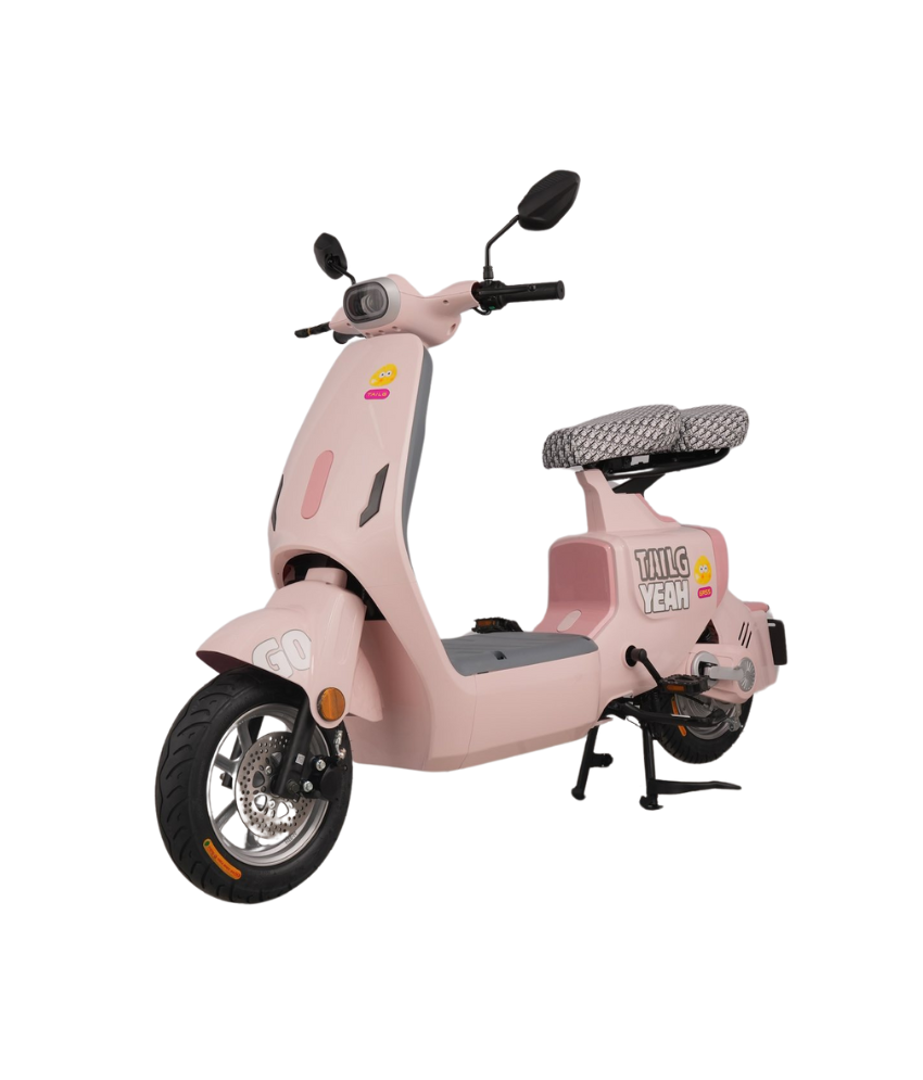 XE ĐẠP ĐIỆN  TAILG GR55