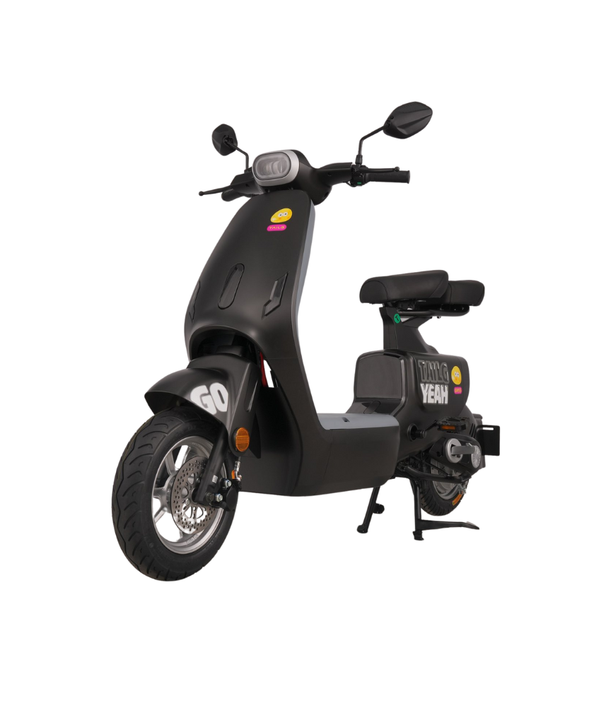 XE ĐẠP ĐIỆN  TAILG GR55