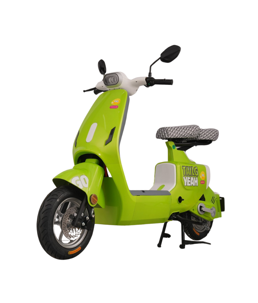 XE ĐẠP ĐIỆN  TAILG GR55