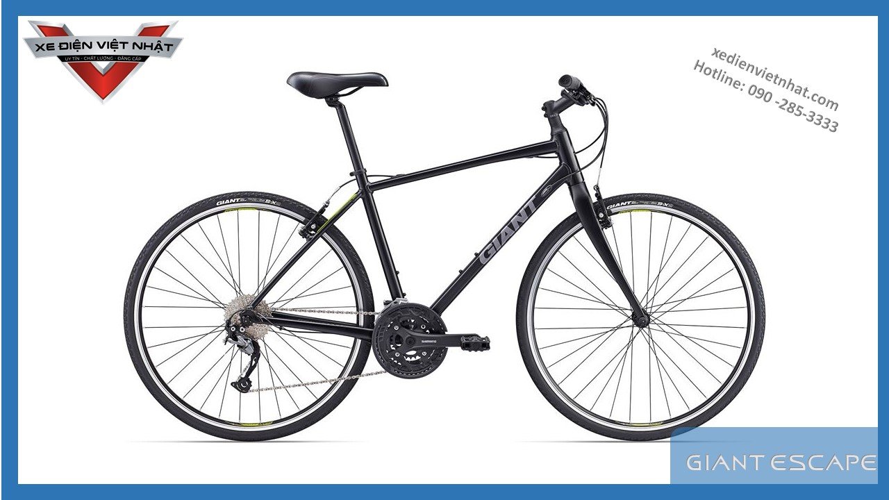 GIANT ESCAPE 3 – BÁNH 700C – 2021