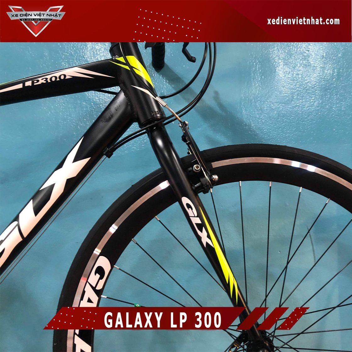 Xe Đạp Galaxy LP300 2021