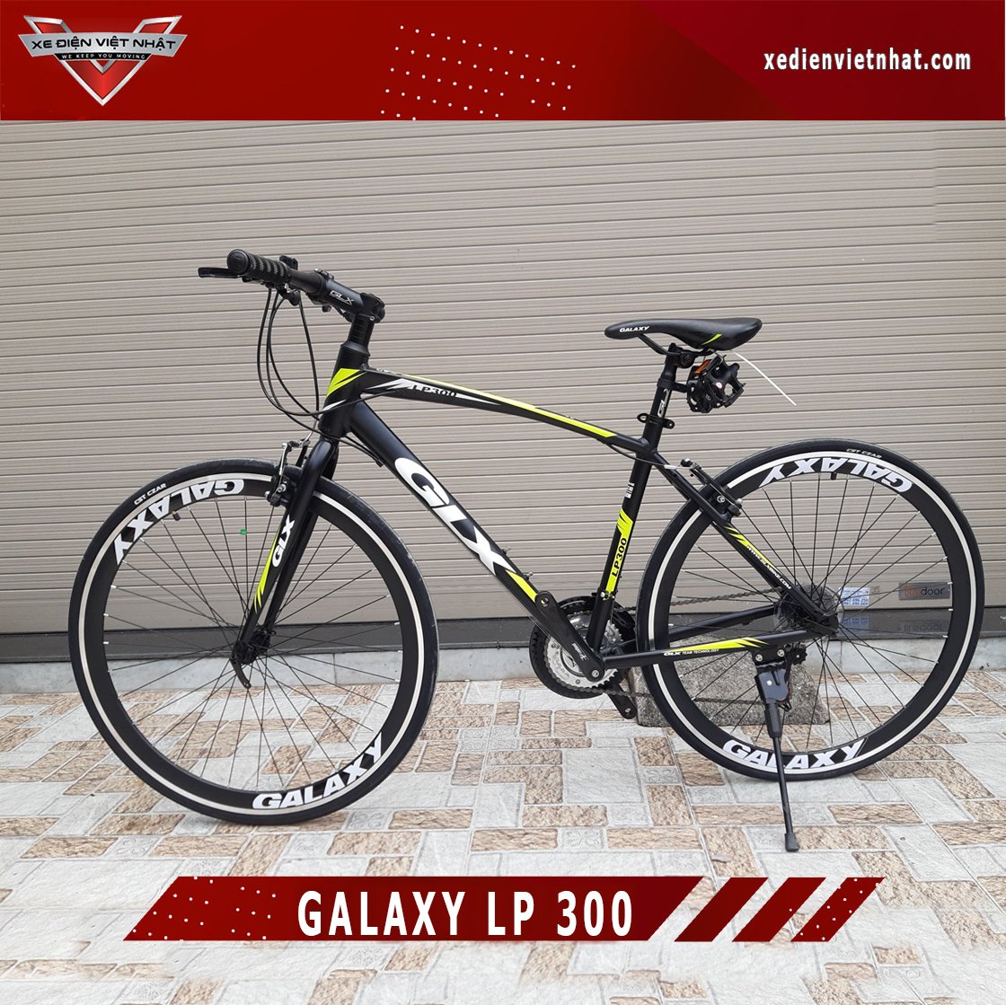 Xe Đạp Galaxy LP300 2021